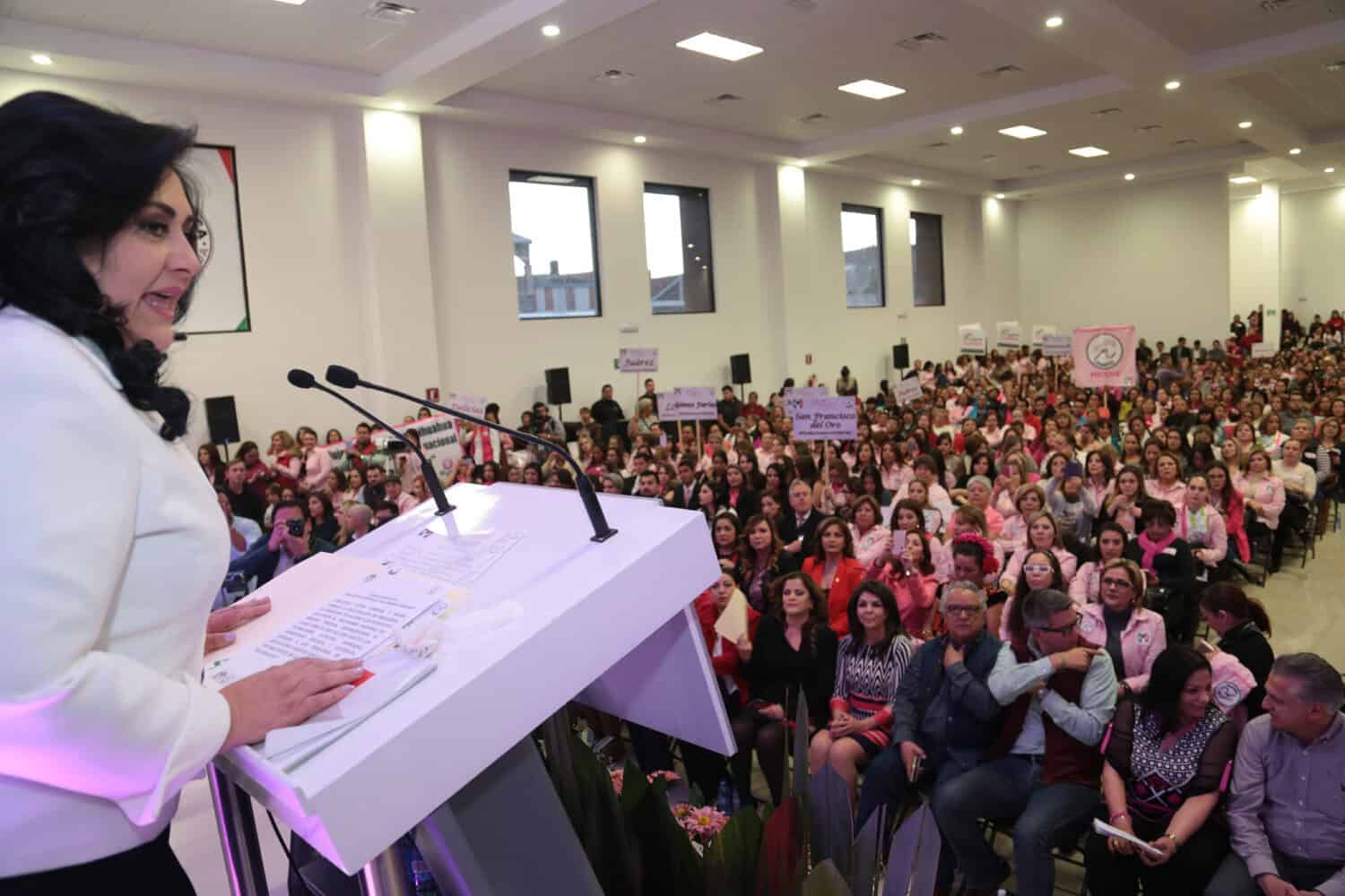 Chihuahua territorio priista con la fuerza de las mujeres: Diva Gastélum